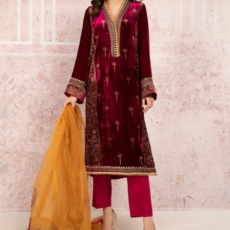 Embroidered Welvet Ladies suite