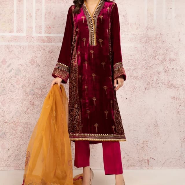 Embroidered Welvet Ladies suite