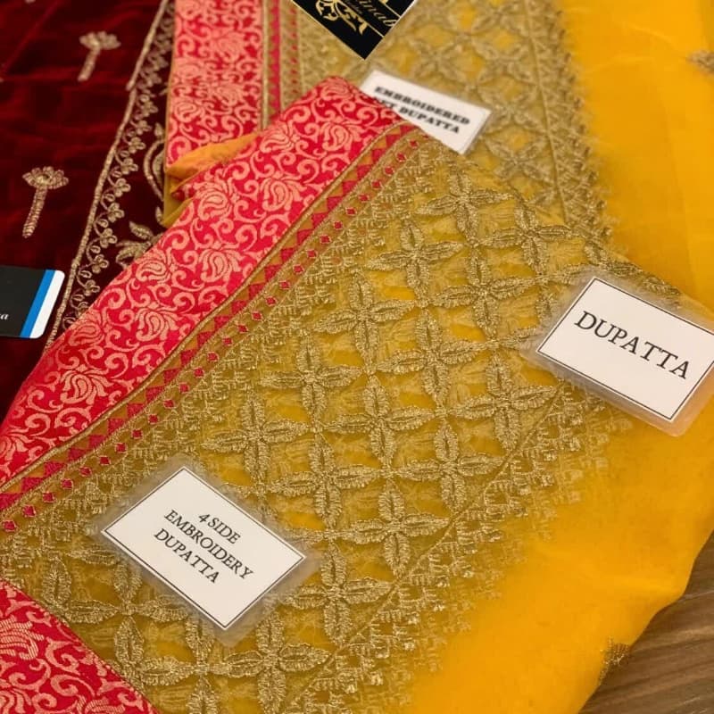 Embroidered Welvet Ladies suite